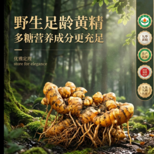 AI电商引流视频项目案例